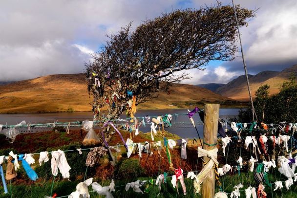 Fairy Thorn Tree, Co. Galway