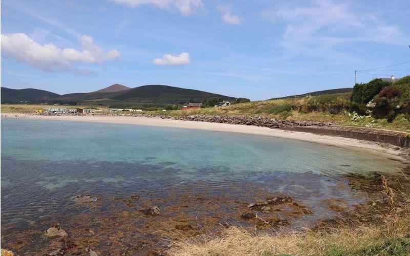 German U-boat landed 28 rescued sailors in Kerry and Britain doubted Irish neutrality