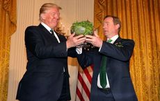 What happens to the St Patrick's Day shamrock at the White House?