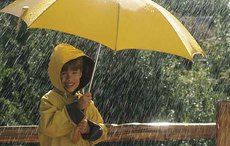 Discovery of 20-year long rainfall in Ireland in 2345BC