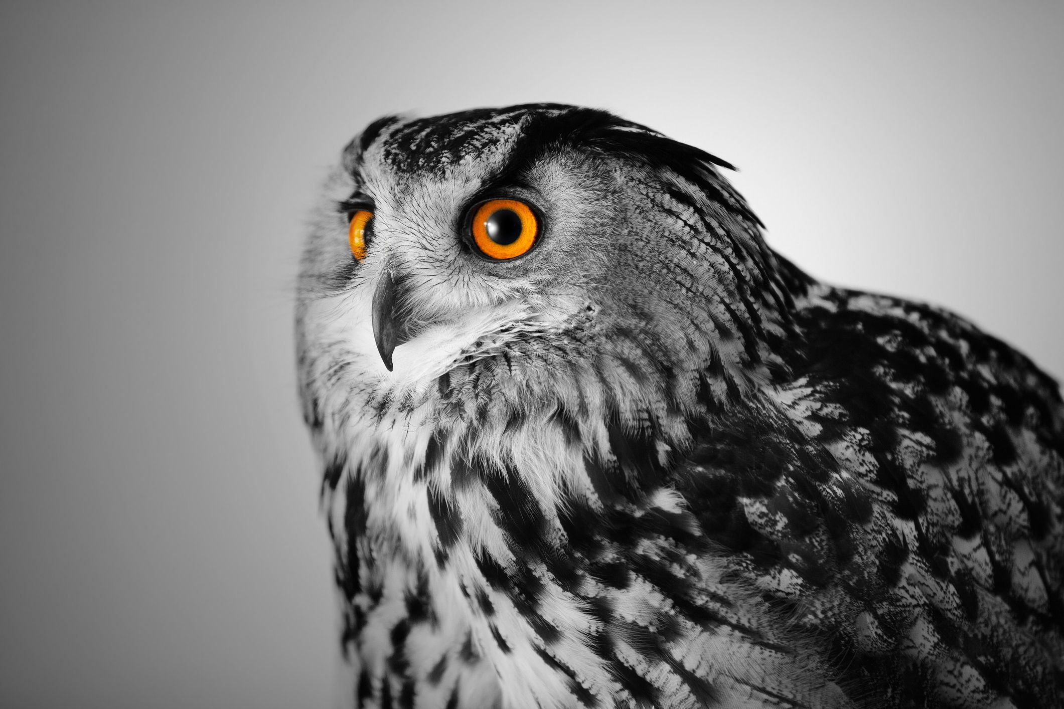 All the #WednesdayWisdom you need with these Irish sayings and witty remarks