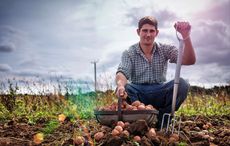 Ten reasons you should marry an Irish farmer