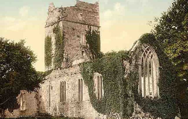 Muckross Abbey, Killarney, Co. Kerry.