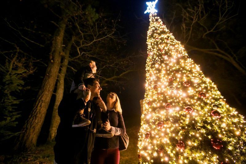 Top Irish Christmas traditions that make the season