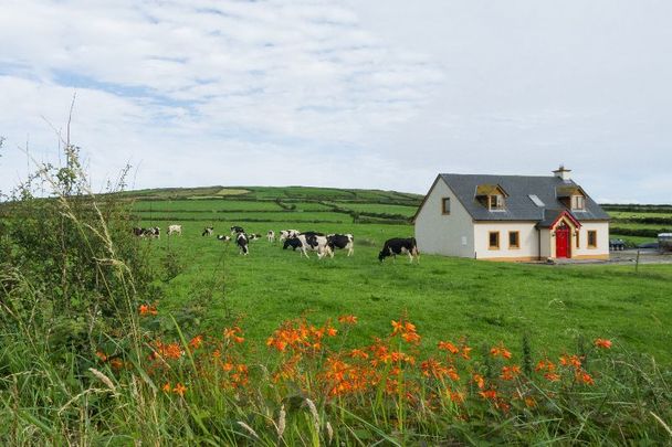 Signs you had a good rural rearing in the auld Emerald Isle.