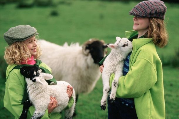 Irish country youth? Did you roll down hills and end up in the ditch?