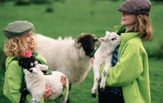 Ways you know you grew up in the Irish countryside