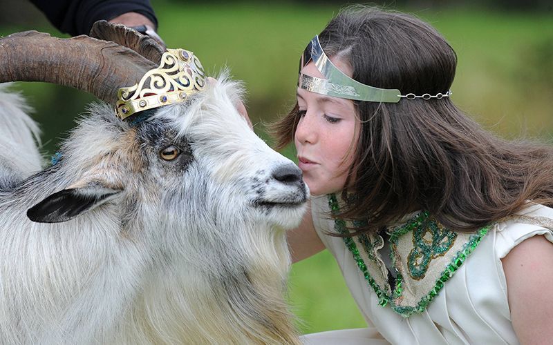 A guide to Puck Fair - Ireland's oldest festival