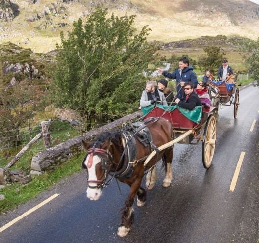 Facts about Killarney on The Ring of Kerry