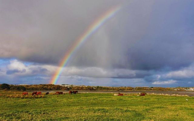 Silver Strand, Barna, Co Galway.