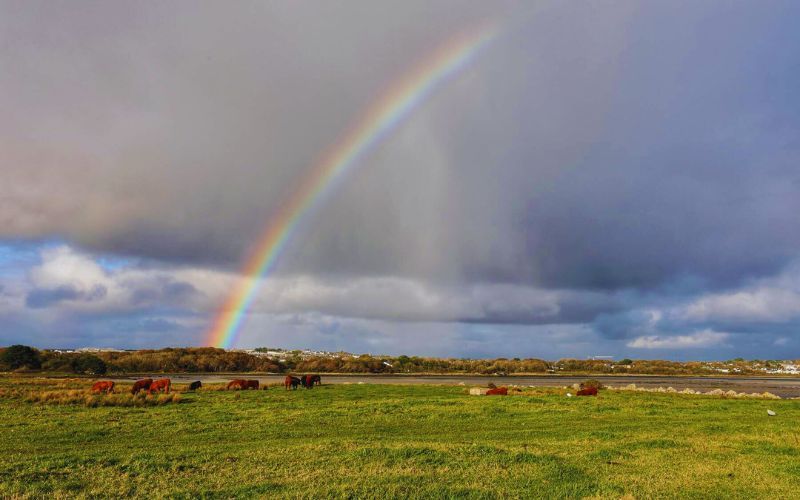 A guide to the smartest and strangest Irish proverbs
