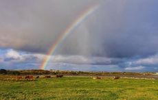 A guide to the smartest and strangest Irish proverbs