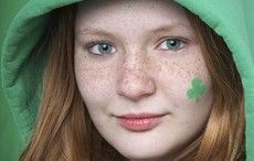 Government turns its back on new major Irish Diaspora center