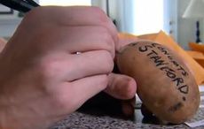 Send a potato to your enemies’ business a runaway success