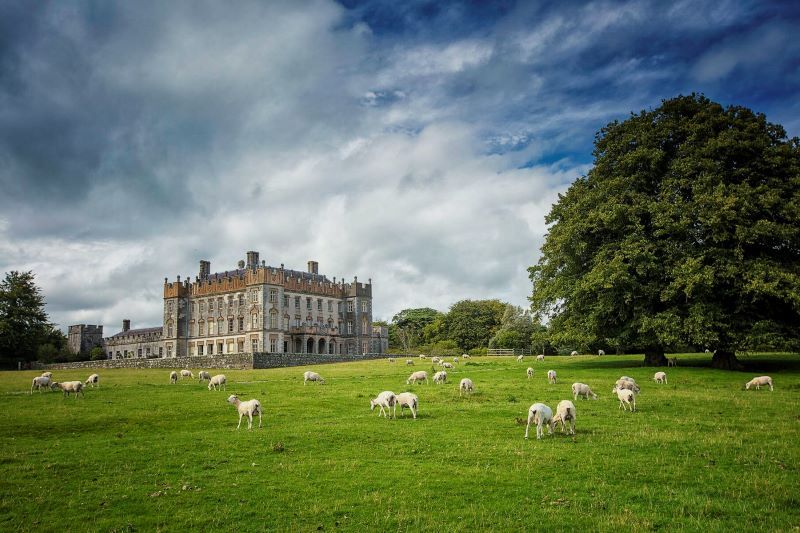 What's your Irish county? County Carlow