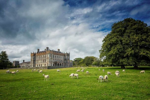 Borris House in Borris, Co Carlow