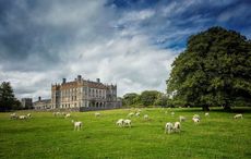 What's your Irish county? County Carlow
