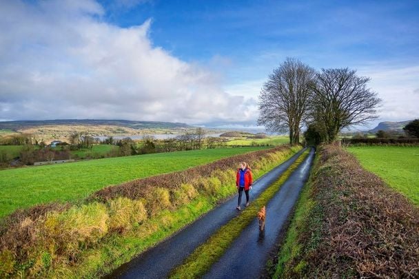 Walking on the Beara-Breifne Way, Co Cavan.