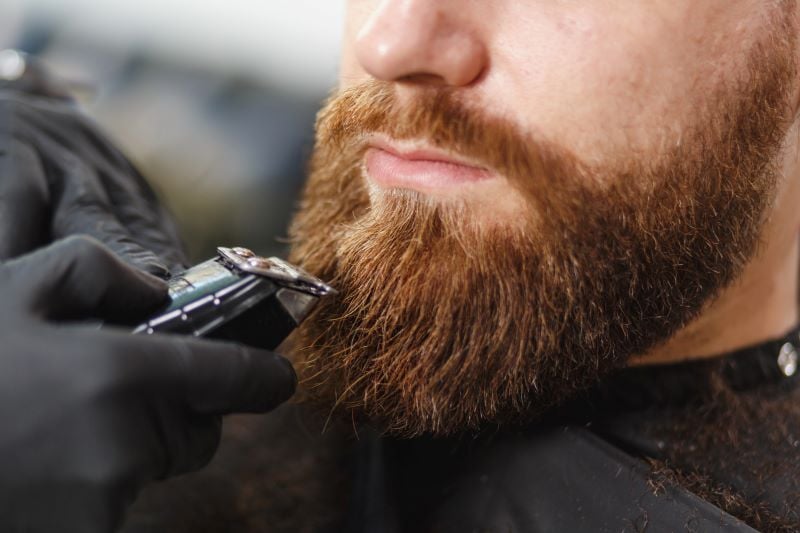 Why do men have red beards, but not red hair?