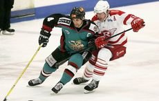 Belfast Giants’ Christmas video is YouTube smash