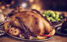 Sick of turkey? Try this Christmas roast goose recipe