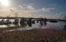 Ireland's amazing disappearing lake