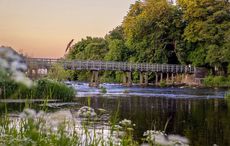 The stunning natural beauty of the Shannon region