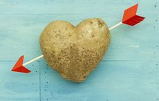 Did you know the Irish have 90 words to describe potatoes?