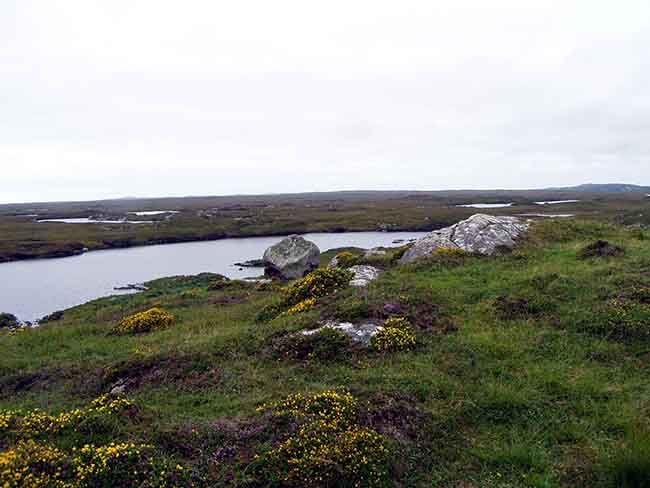 Irish manuscript found is more important than the Dead Sea Scrolls