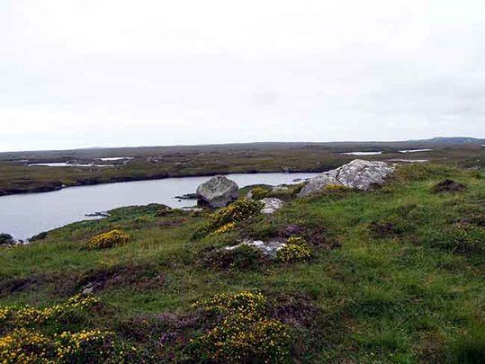 The bog where the manuscript was found. 