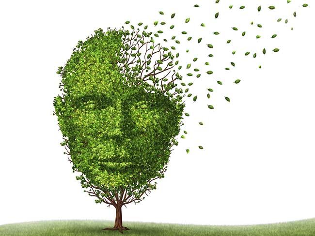 Irish American Chuck Feeney gives $177 million to find a cure for dementia