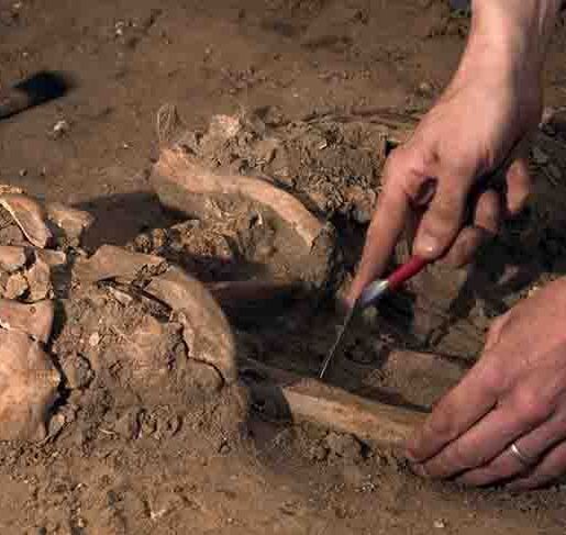 8th century Irish brain surgeons saw cancer and TB