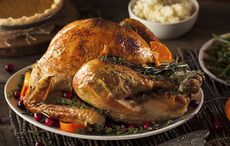 Thanksgiving roast turkey with sage and onion stuffing recipe