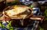 Guinness French onion soup recipe