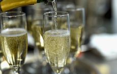 The Minty Irishman: An Irish champagne cocktail perfect for New Year's Eve