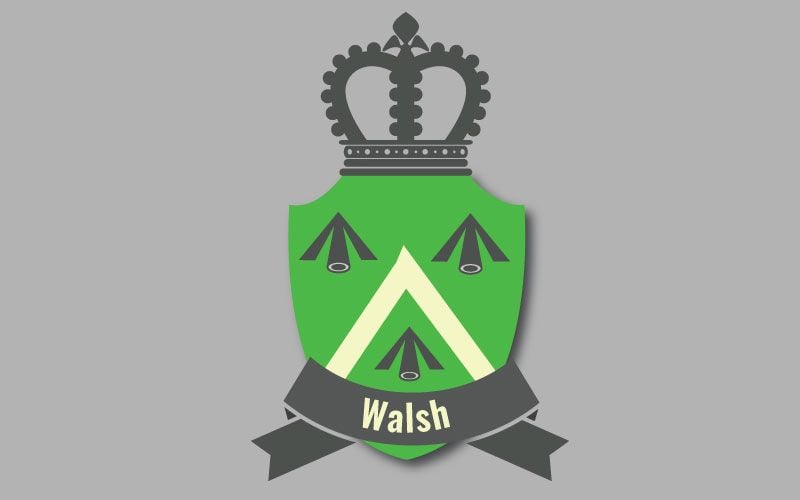 Discover your Walsh family roots in Ireland's fourth most common name