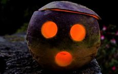 Before pumpkins the Irish carved turnips and the results were far more frightening