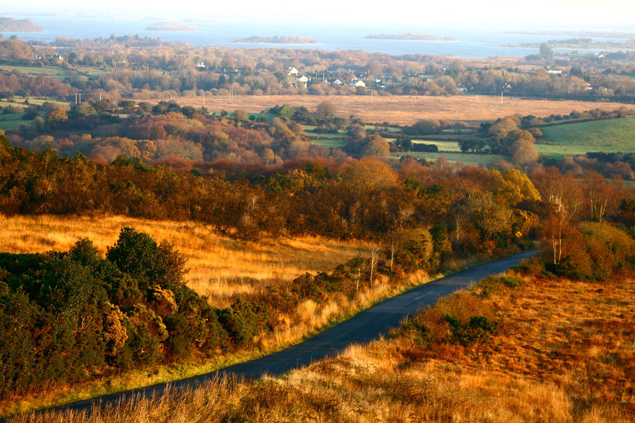 Description: A 30km walkway from Dungarvan to Kilmacthomas with lots of places for cruising. There are several cottages along the way where you can meet and Hook up with hot gay men at Waterford Greenway in Waterford