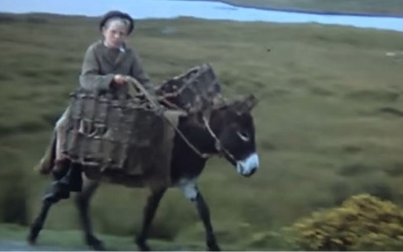 WATCH: Forgotten Ireland, captured on 16mm film 70 years ago