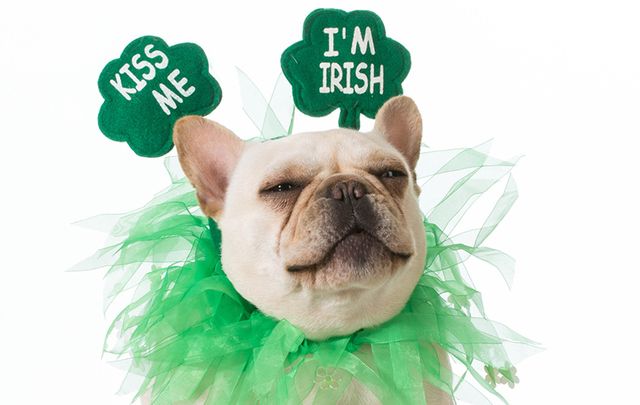 Did you know that St. Patrick wasn't even Irish? Or that the Irish can't claim credit for St. Patrick's Day parades? Find out more in our weirdest and most wonderful facts.