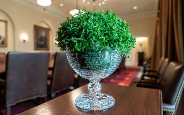 March 17, 2023: The Shamrock bowl presented to President Joe Biden by Taoiseach Leo Vadkar on behalf of the people of Ireland is seen in the Cabinet Room at the White House.