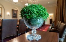 The history of the St. Patrick's Day shamrock ceremony at the White House