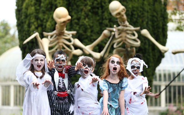 The launch of the Bram Stoker Festival in the Botanic Gardens in Dublin. 