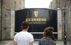 Snake discovered in Dublin’s Guinness Brewery container shipped from Texas