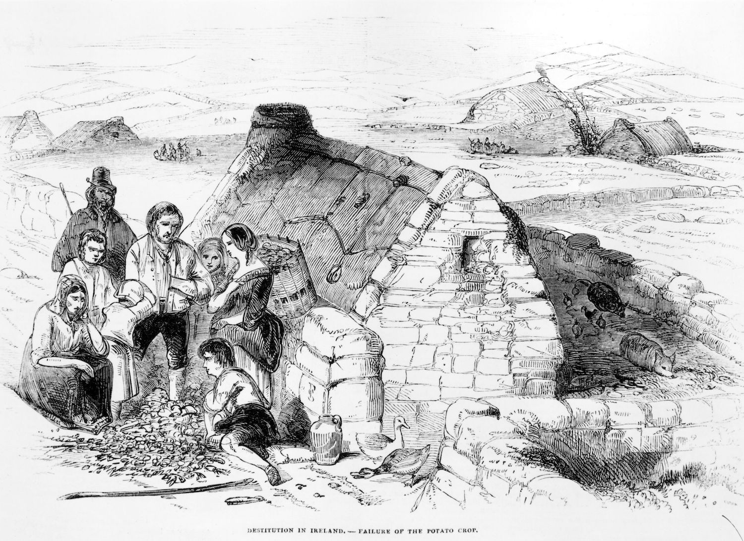 Horrific tale of a Mayo village's death during the Great Famine