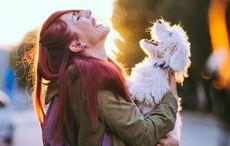 Silly family-friendly Irish Thanksgiving jokes