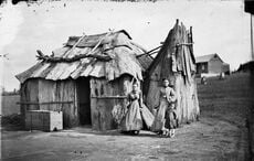 4,000 women from workhouses in Ireland became Australian pioneers