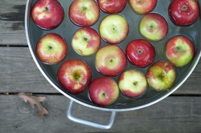 Bobbing for apples (Getty Images)