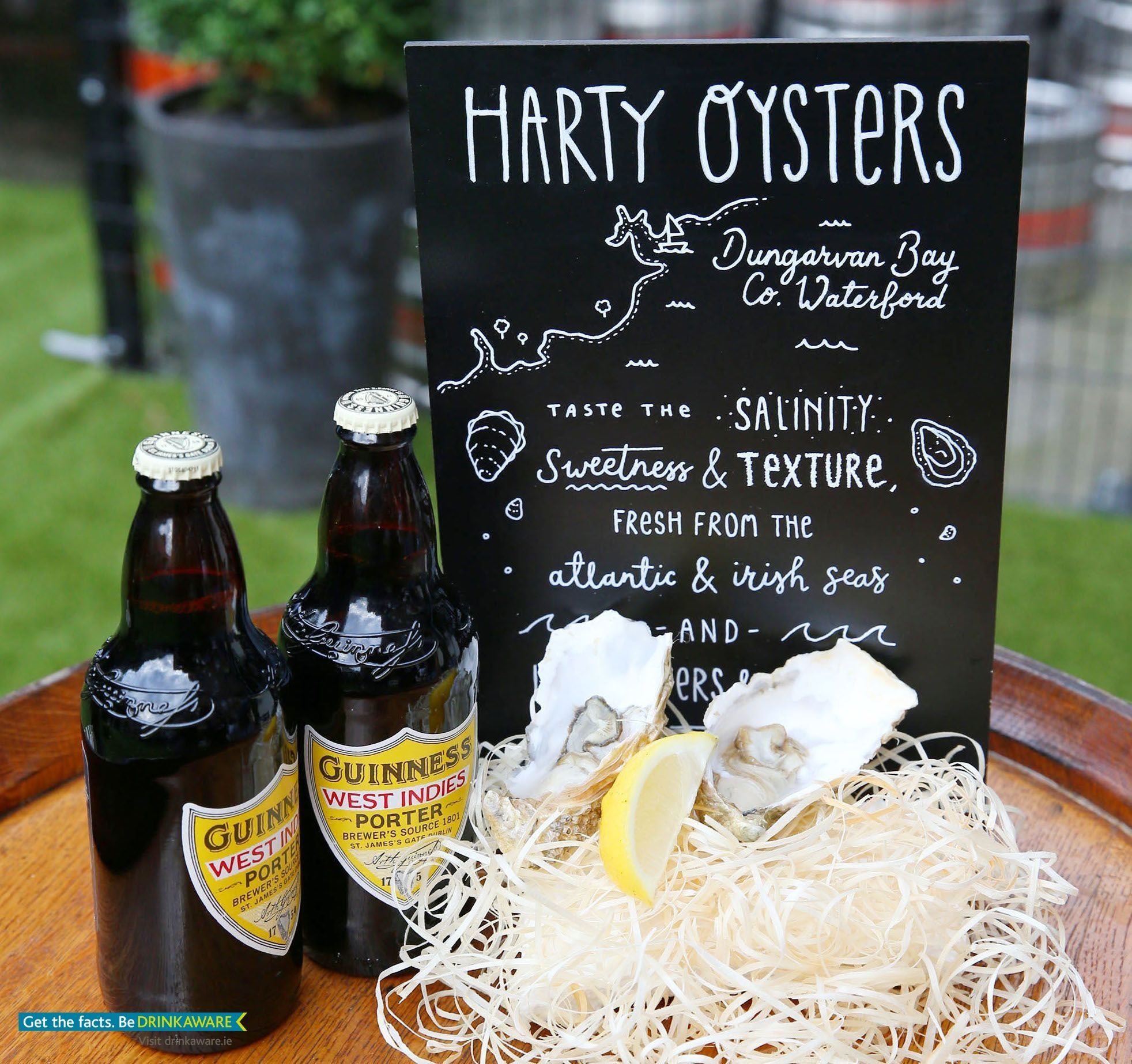 Guinness West Indies Porter and Harty's oysters, from Waterford.