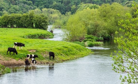 The Boyne River. The Boyne River.